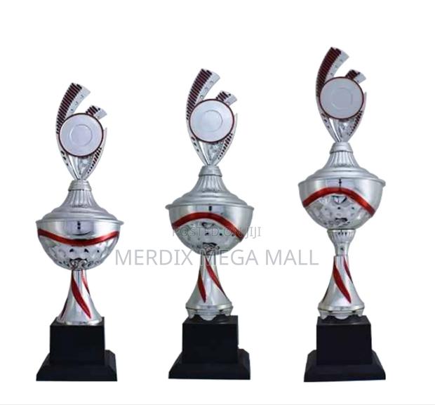 T24-350/1 Sro,Trophy,Trophy Cups,Trophies - main view