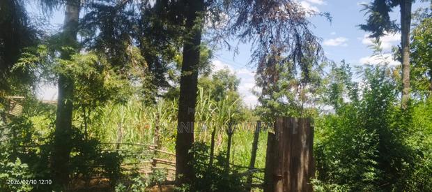 One and Half Acrea Nanyuki Nyeri Highway - thumbnail 2