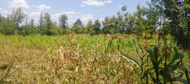 One and Half Acrea Nanyuki Nyeri Highway - thumbnail 3