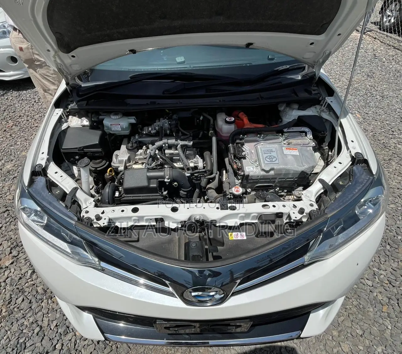 Toyota Axio 2019 Red