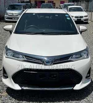 Toyota Axio 2019 Red