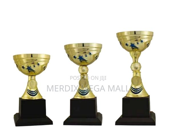 T24-329gbu/1,Trophy,Trophy Cups,Trophies - main view