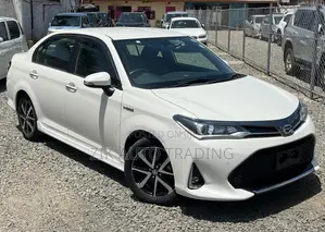 Toyota Axio 2019 Red