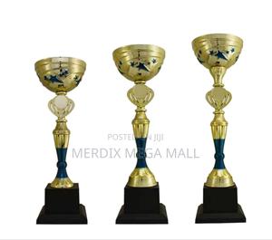 T24-273gbu/1,Trophy,Trophy Cups,Trophies - thumbnail 2
