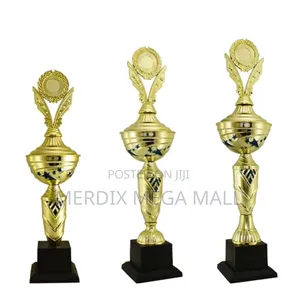 T24-117/1gbu,Trophy,Trophy Cups,Trophies
