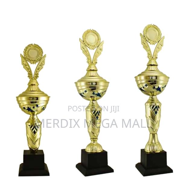 T24-117/1gbu,Trophy,Trophy Cups,Trophies