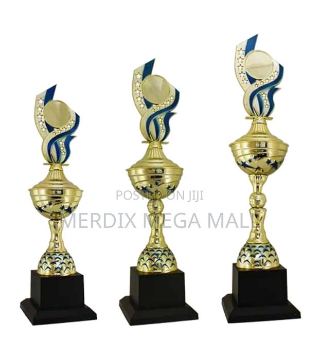 T24-149gbu/1,Trophy,Trophy Cups,Trophies - main view