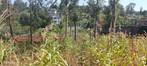 Quarter Acre Residential Plot at Windsor Waterfront Estate