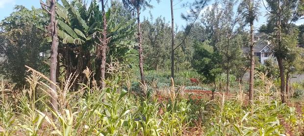 Quarter Acre Residential Plot at Windsor Waterfront Estate - thumbnail 3