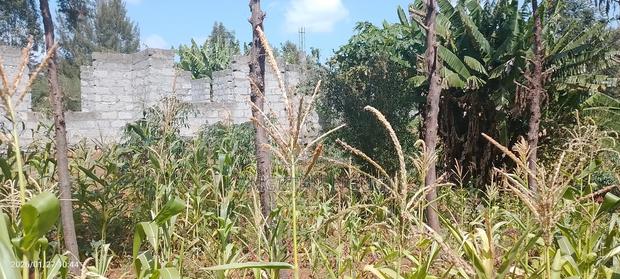 Quarter Acre Residential Plot at Windsor Waterfront Estate - thumbnail 4