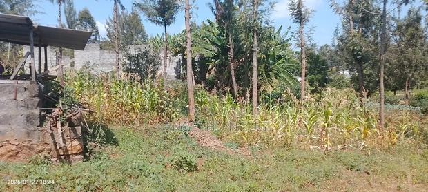 Quarter Acre Residential Plot at Windsor Waterfront Estate - thumbnail 7