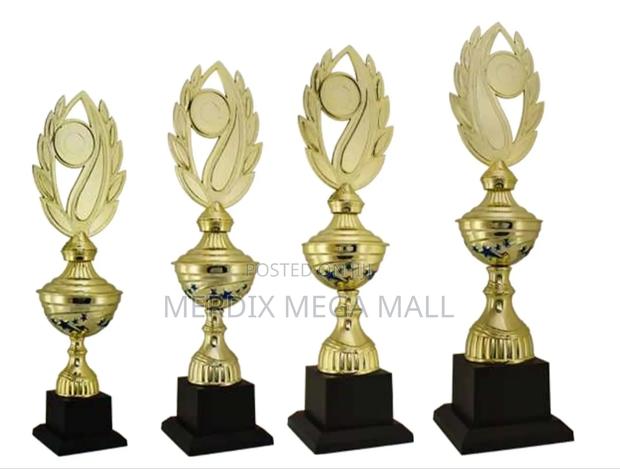T24-392/1 Gbu,Trophy,Trophy Cups,Trophies