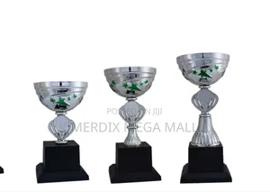 T24-128/1 Sgn,Trophy,Trophy Cups,Trophies