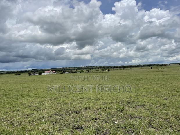 Affordable 50*100 Plot for Sale- Kitengela - thumbnail 2