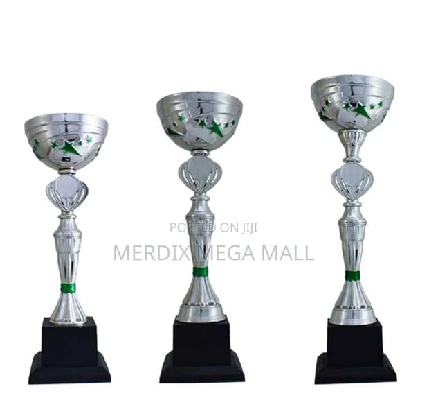 T24-Sgn270a,Trophy,Trophy Cups,Trophies - main view
