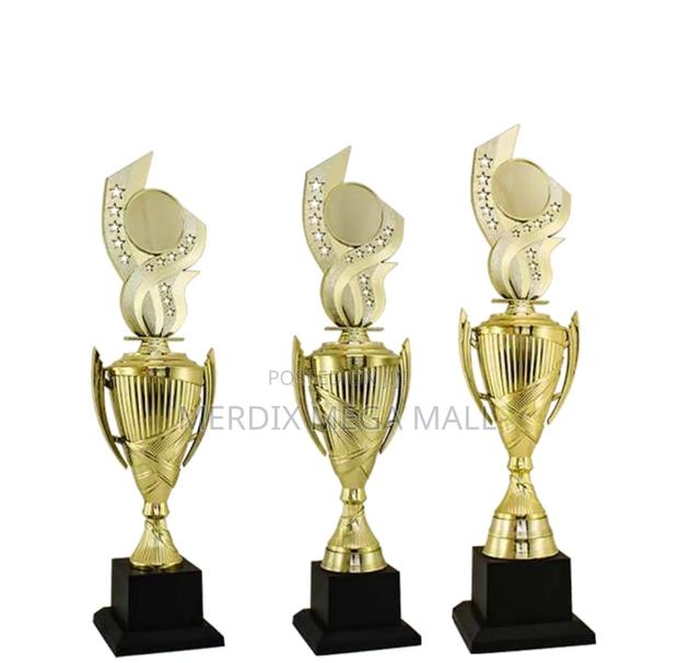 T24-B278ga,Trophy,Trophy Cups,Trophies - main view