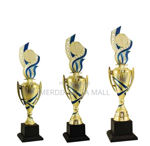 T24-B278gbua,Trophy,Trophy Cups,Trophies - main view