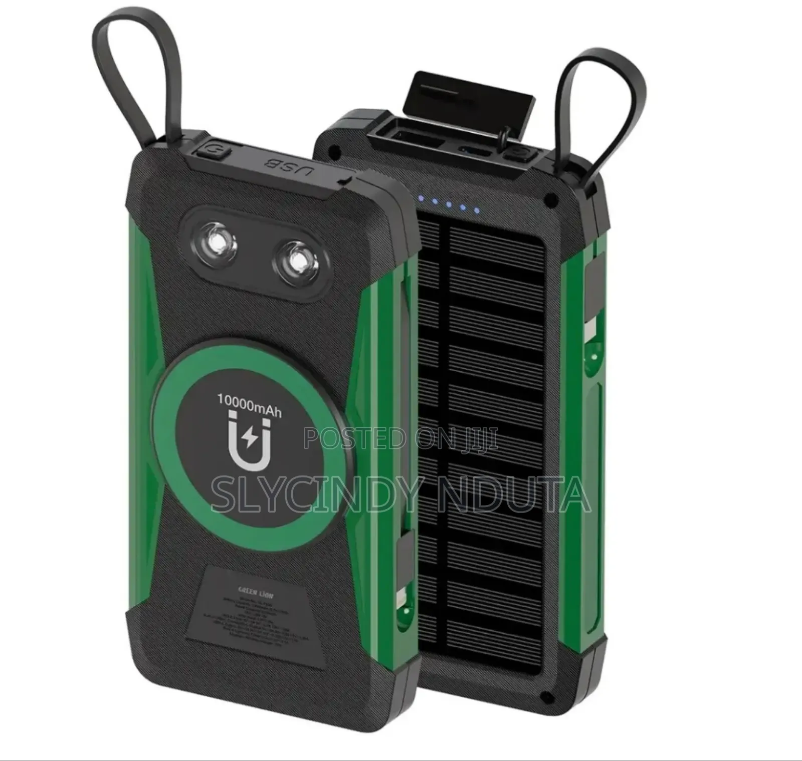 Green Lion Solar Trex Power Bank