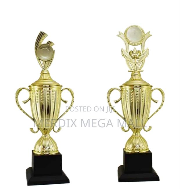 T24-3030ga,Trophy,Trophy Cups,Trophies - main view