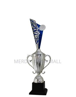 T24-3030s/1,Trophy,Trophy Cups,Trophies - thumbnail 2