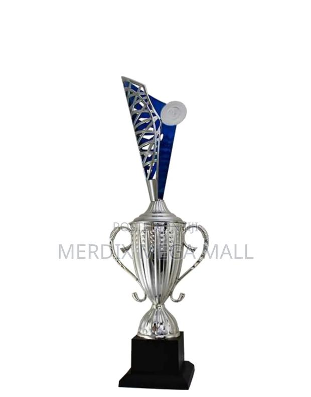 T24-3030s/1,Trophy,Trophy Cups,Trophies - main view