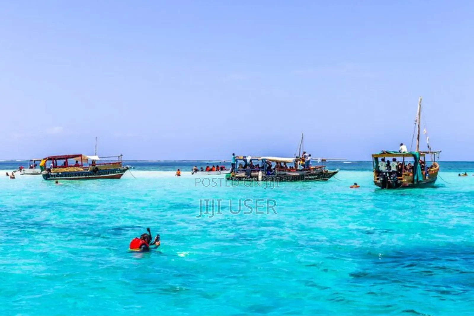 Diani Wasini Tours