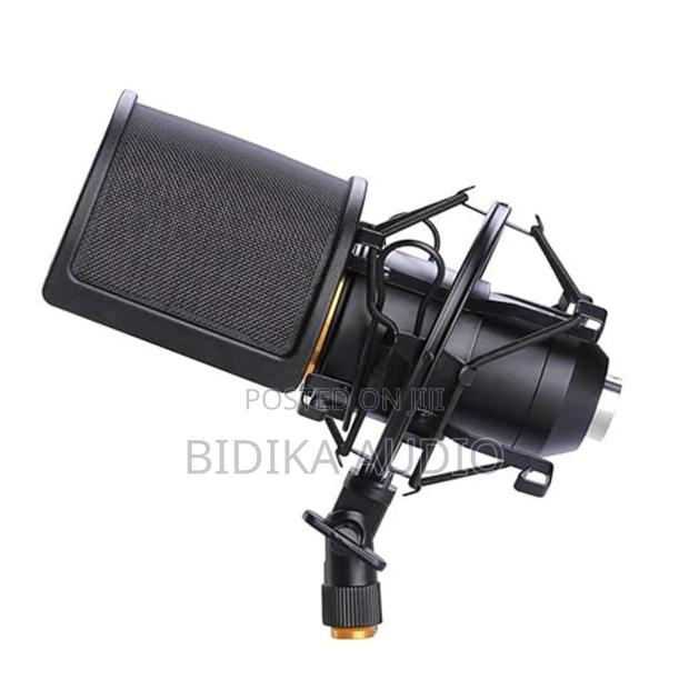Microphone Shock Mount With Pop Filter, Mic Anti-Vibration Suspension