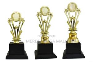 T24-h416aa,Trophies,Trophy - thumbnail 2