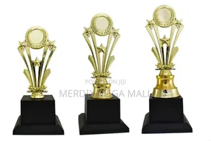 T24-h416aa,Trophies,Trophy