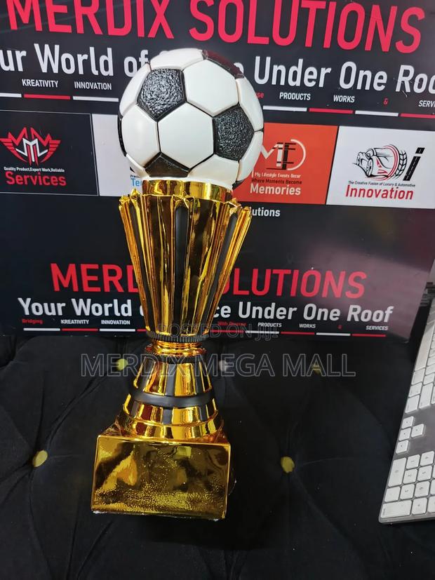 Premier League Trophy, Trophies - main view