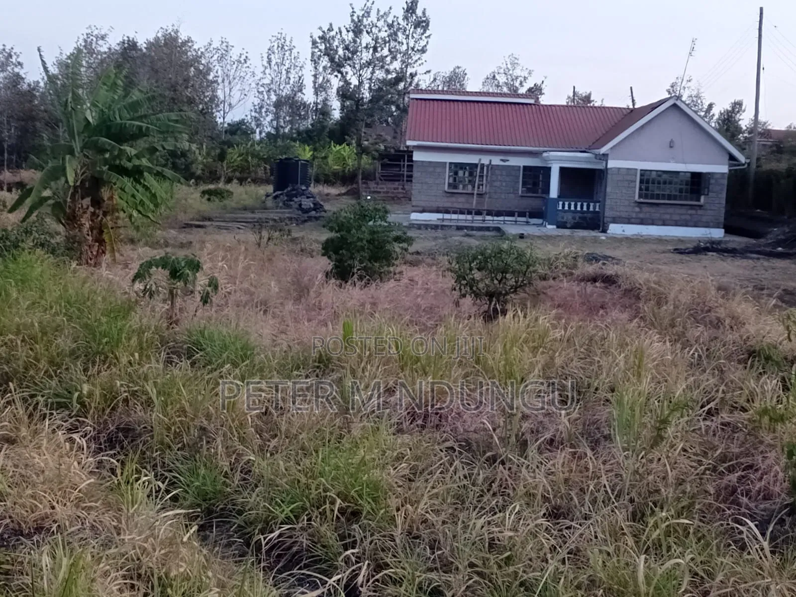 3bdrm Bungalow in Kenol, Makuyu for rent