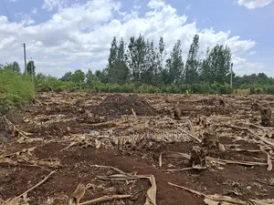 19 Acres of Land Available in Kirinyaga