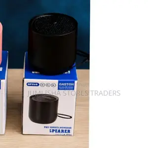Caston St-919 Portable Wireless Speaker