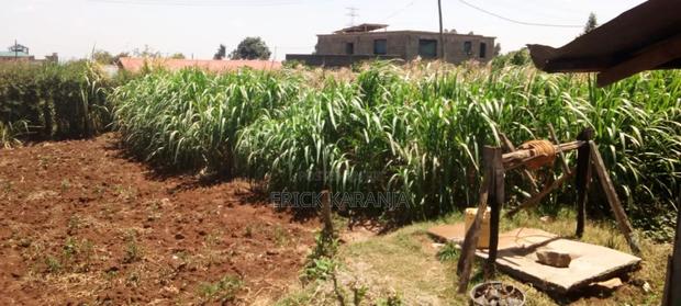 Plots on Sale - thumbnail 3