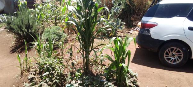 Plots on Sale - thumbnail 5