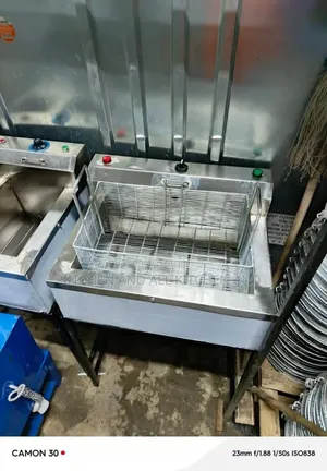 Electric Fryer Big Capacity,Fast Results More Profit