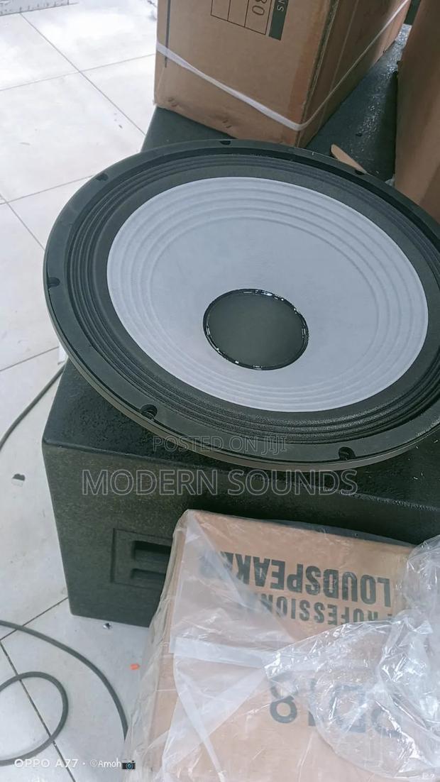 15-Inch Professional Loudspeaker Woofer - main view