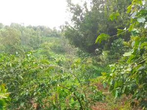 1/4 (One-Quarter) of an Acre.