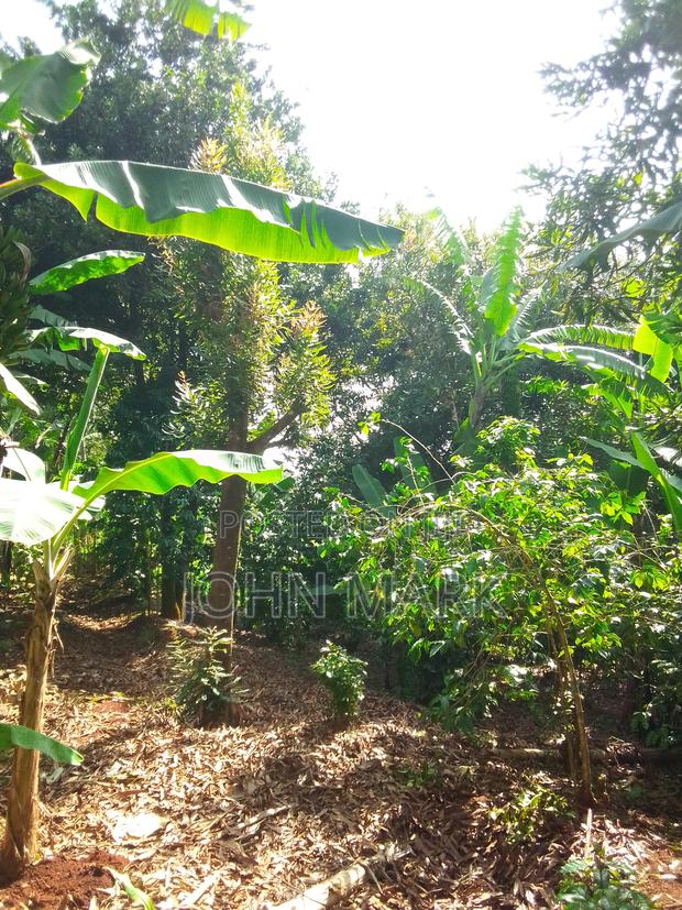 1/4 (One-Quarter) of an Acre. - thumbnail 5