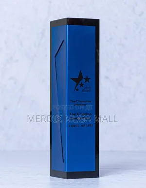 Heavy Blue Stone Award, Awards