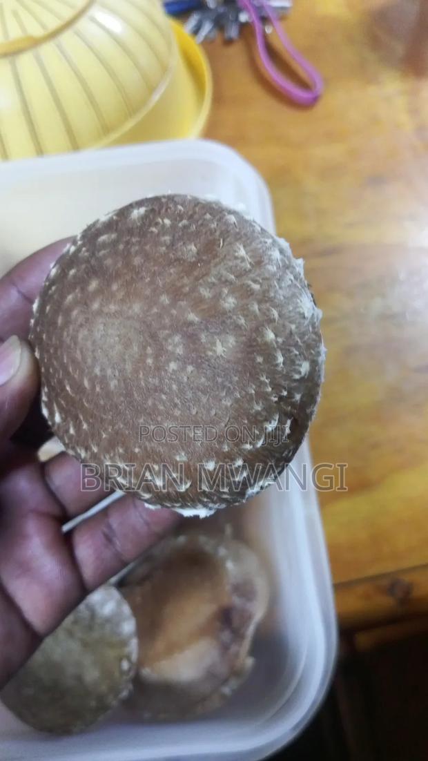Shiitake Mushrooms - main view