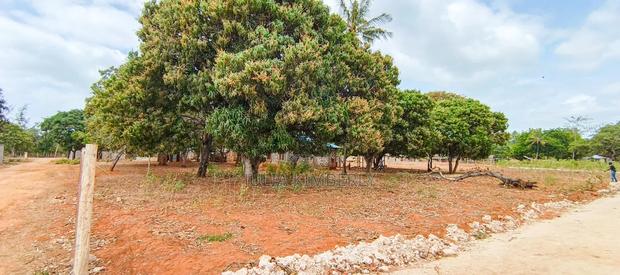 Affordable Bofa 50 by 100's - thumbnail 2