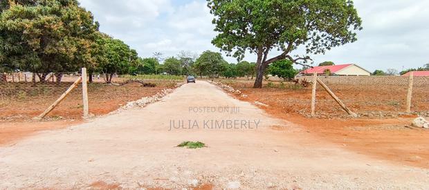 Affordable Bofa 50 by 100's - thumbnail 3