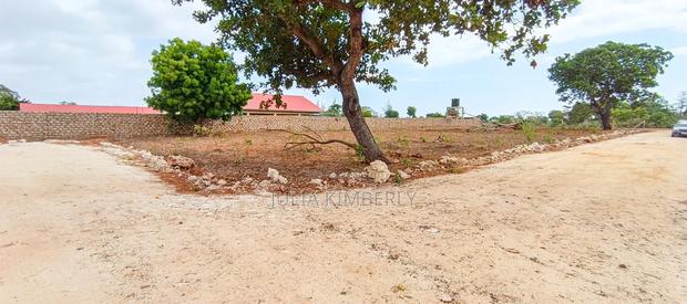 Affordable Bofa 50 by 100's - thumbnail 6