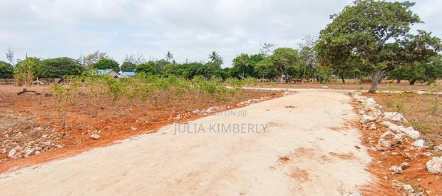 Affordable Bofa 50 by 100's - thumbnail 8