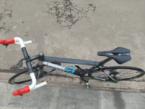 Giant Defy Advanced Allux