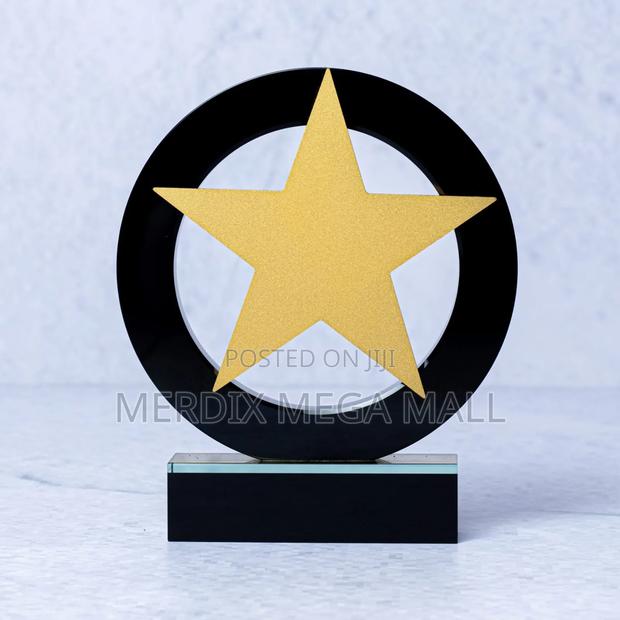 Orbit StarAward, Awards - thumbnail 3