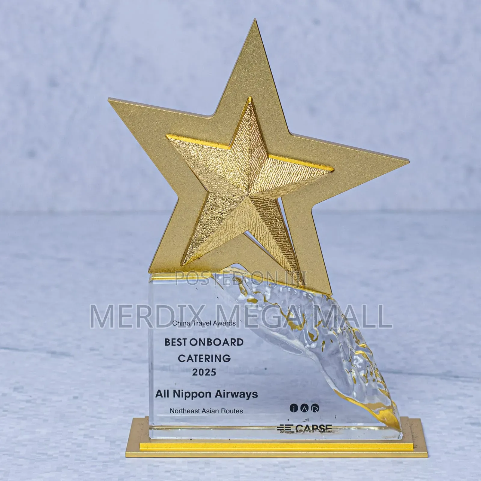 Gold Ice Star Award, Awards