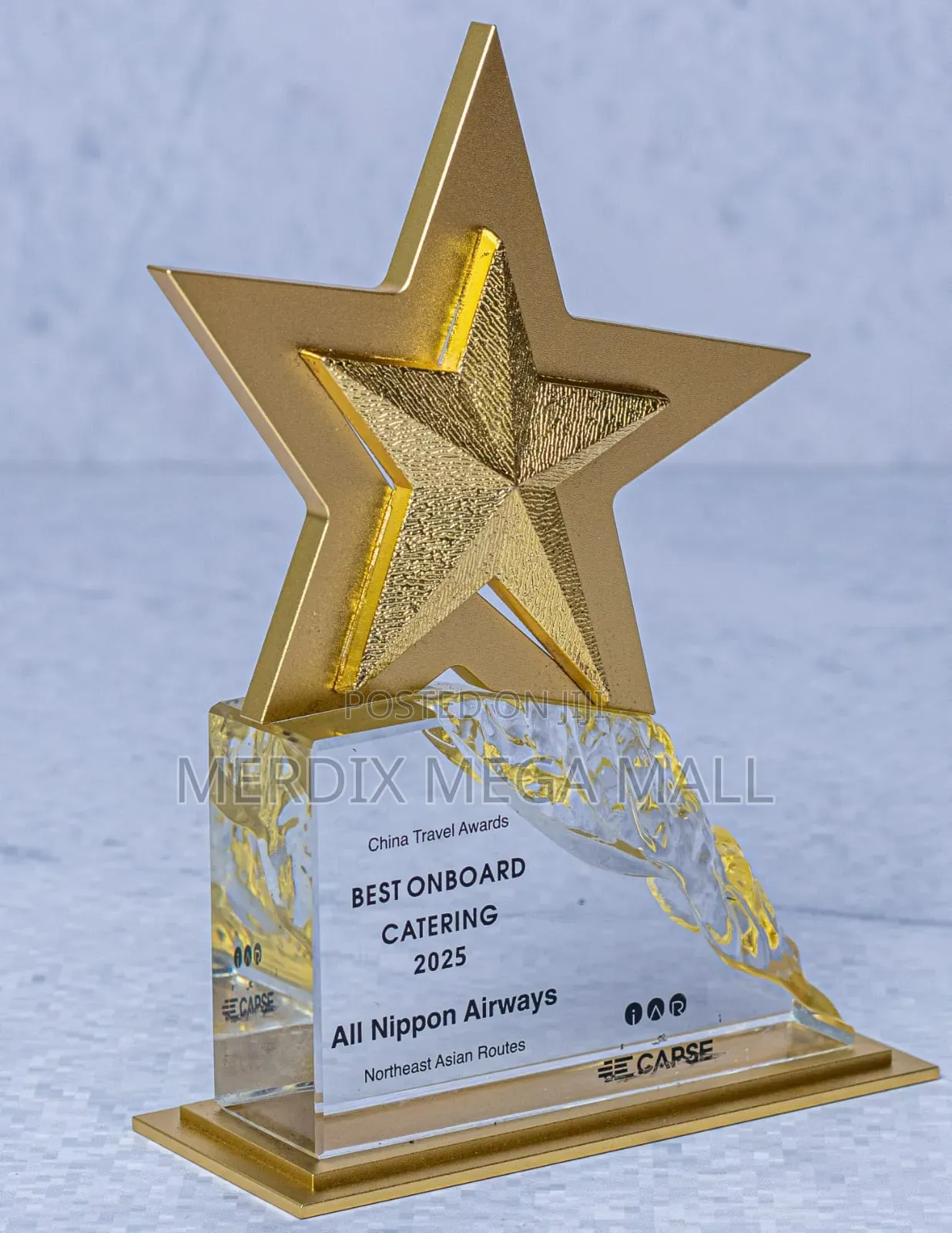 Gold Ice Star Award, Awards