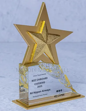 Gold Ice Star Award, Awards